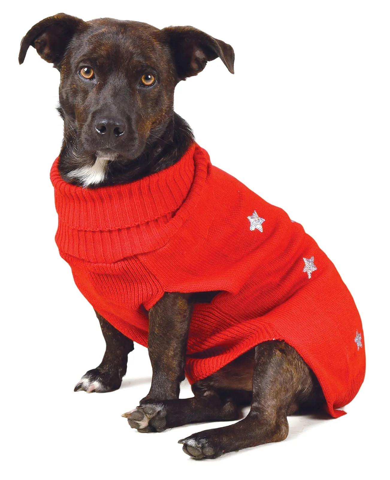 Sequin Stars Dog Sweater